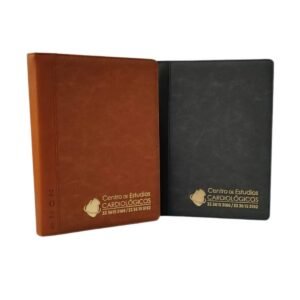 Agendas 2027