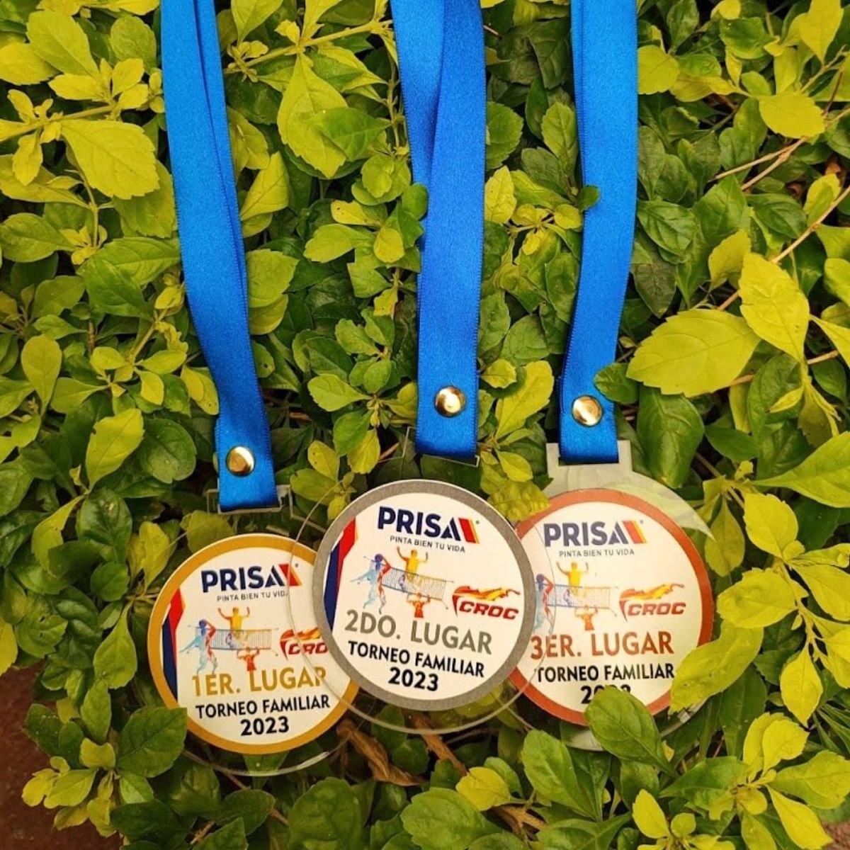 MS Serigraphicart - medallas personalizadas